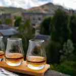 The 7 best whisky shows at the 2025 Edinburgh Festival Fringe - including drams under the stars