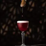 I tried art-inspired immersive menu from award-winning 'hidden' Scottish cocktail bar - the flavours are wild