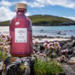 Isle of Harris Distillery unveils ‘stunning’ pink ceilidh bottle inspired by island flora - price and how to buy