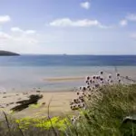 Explore the beauty of Orkney on new 'sanctuary' trails that end with drams of whisky