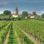 Brian Elliot: Least well-known parts of Bordeaux offer well-priced reds