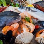 5 great recipes from Seafood Scotland