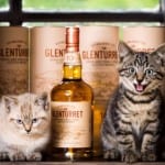 Whisky and whiskers at Glenturret Distillery as two new kittens join the team