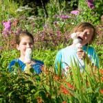 Mackie's create floral ice creams exclusively for the Royal Botanics Garden Edinburgh