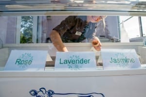 IN PIC................. (c) Wullie Marr/HPR For pic details, contact Wullie Marr........... 07989359845