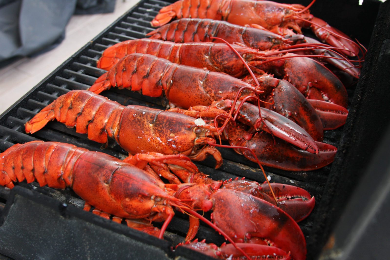 How to eat lobster, a guide to ordering in a restaurant - Scotsman Food