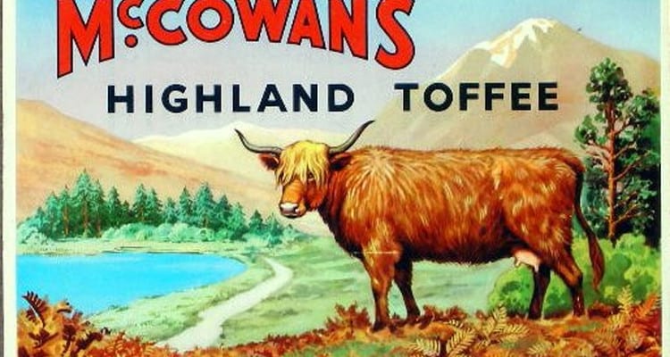 Image result for highland cow toffee
