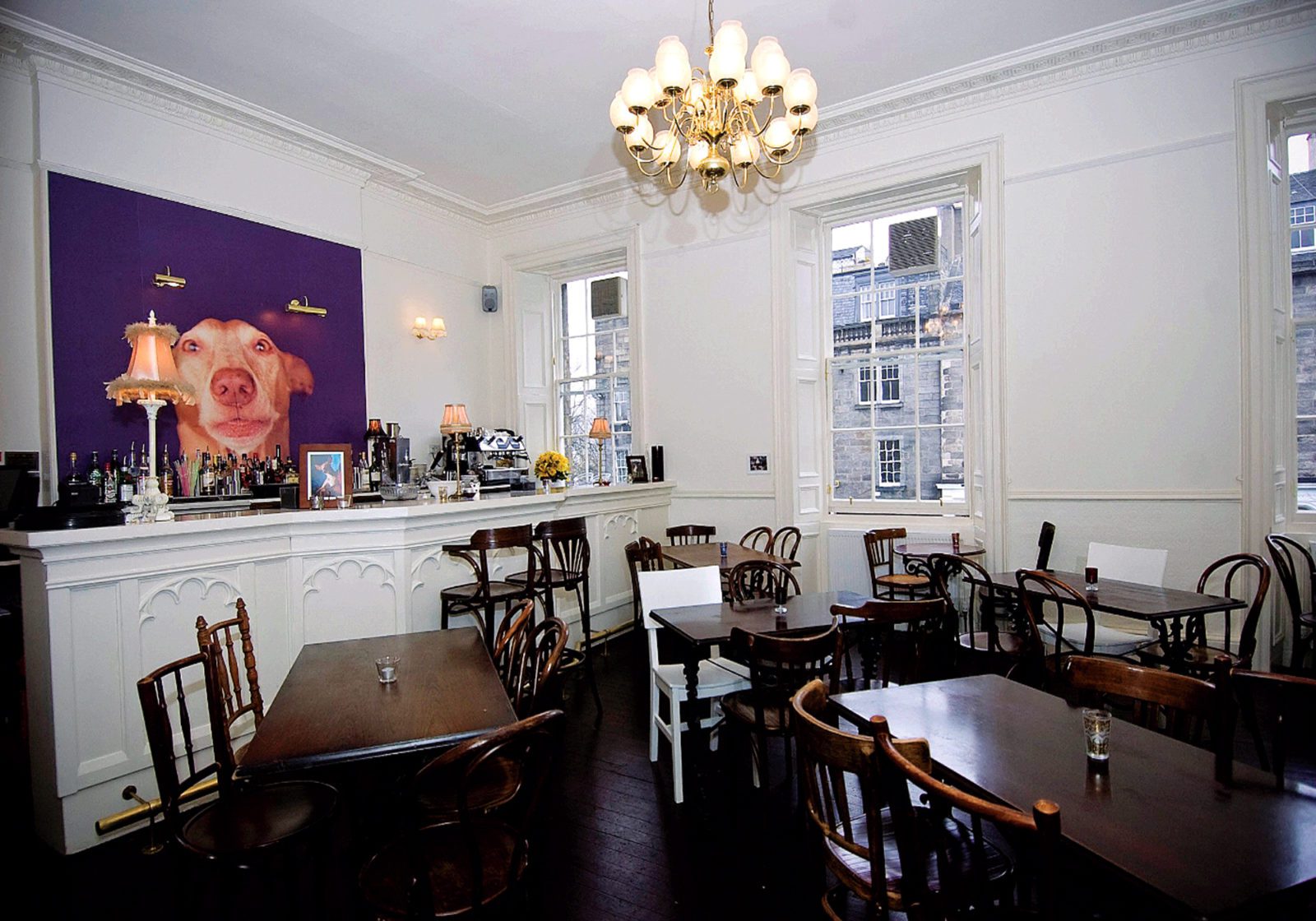 the dogs kitchen bar edinburgh