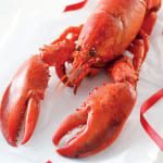 Lidl to launch first MSC certified whole lobster for under £5