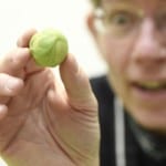 Edinburgh Chocolatier's Chocolate Brussels sprouts are a big hit across the UK