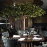 Dine with Stuart Muir, Edinburgh, restaurant review