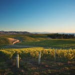 Brian Elliott: There's more to the wines of New Zealand