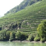 Rose Murray Brown: Journey down the Danube Valley, bottle by bottle