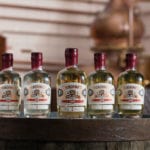 Gin meets whisky: Pickering’s launches oak-aged collection