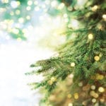 Choose the right Christmas tree for your home