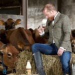 Graham's the Family Dairy hire drinks expert to become UK's first milk sommelier