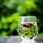 Drinking Green Tea can help 'boost memory and improve learning'