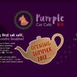 Dream job? Glasgow's first cat cafe is looking for staff