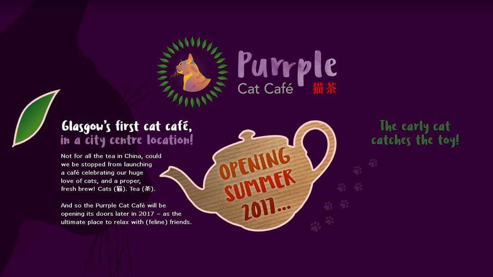 Dream job Glasgow s first cat  cafe  is looking for staff 