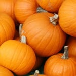 The best uses and recipes for left over pumpkins this Halloween