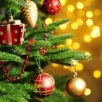 Six things to think about when choosing your Christmas tree