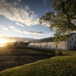 Scottish whisky distilleries reach record numbers of visitors and are set to celebrate with free entry