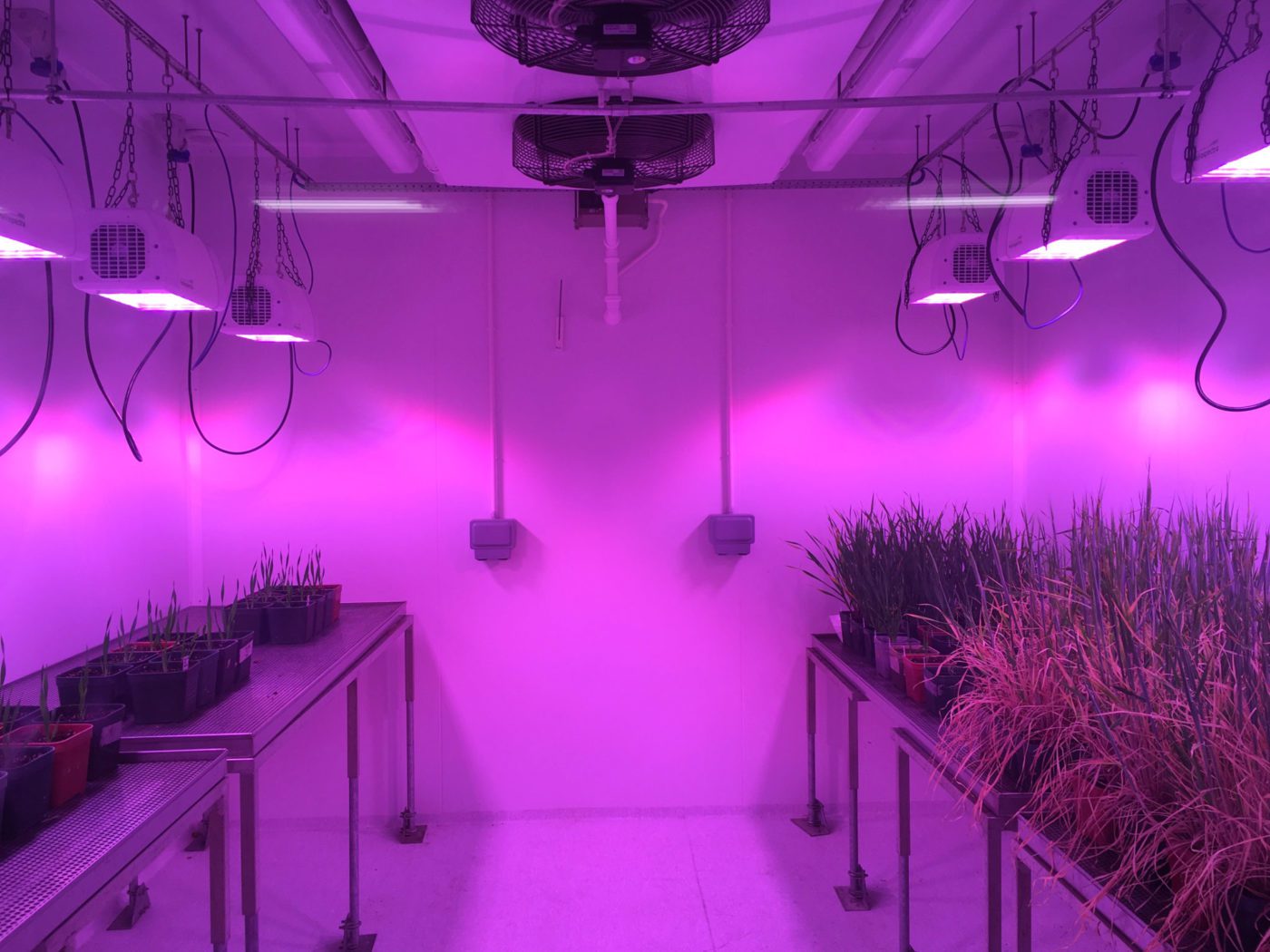 Everything you need to know about Dundee's newest supper clubs