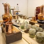 Scottish gin distillery guide: the best distilleries in Scotland you can visit for a tour or day trip