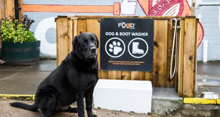 Dog Friendly Garden Centre York ~ skibydesign