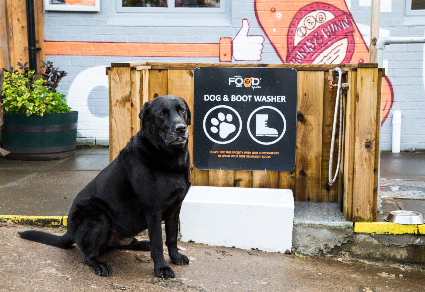 10 of the best dog-friendly restaurants and cafes in Scotland