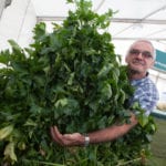 World record vegetable grower given less than a year to live vows to break records again