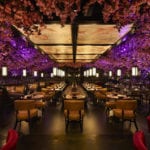 Tattu Edinburgh announces reopening date and at-home delivery service