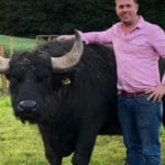 Scotland's buffalo farm pushes for Crowdfunding target to produce first ever buffalo mozzarella