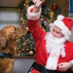 East Lothian restaurant to hold special Christmas themed charity breakfast event for dogs