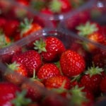 Free punnets of Scottish strawberries will be delivered to homes this week to celebrate Wimbledon fortnight