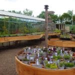 Edinburgh's Secret Herb Garden to reopen herb nursery and garden