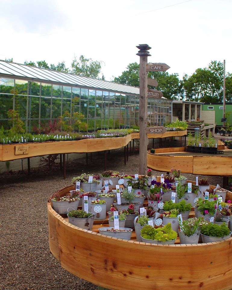 Edinburgh's Secret Herb Garden to reopen herb nursery and garden
