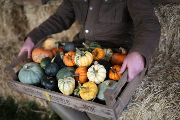 Scotland's larder: Meet The Calder family from Kilduff Pumpkin farm ...