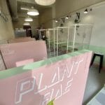 Plant Bae, Edinburgh, restaurant review