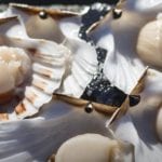 Ethical Shellfish Company launches new website - here's what you can order