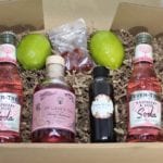 New cocktail delivery service Social and Cocktail 2Go teams with McLean's Gin for at-home drinks