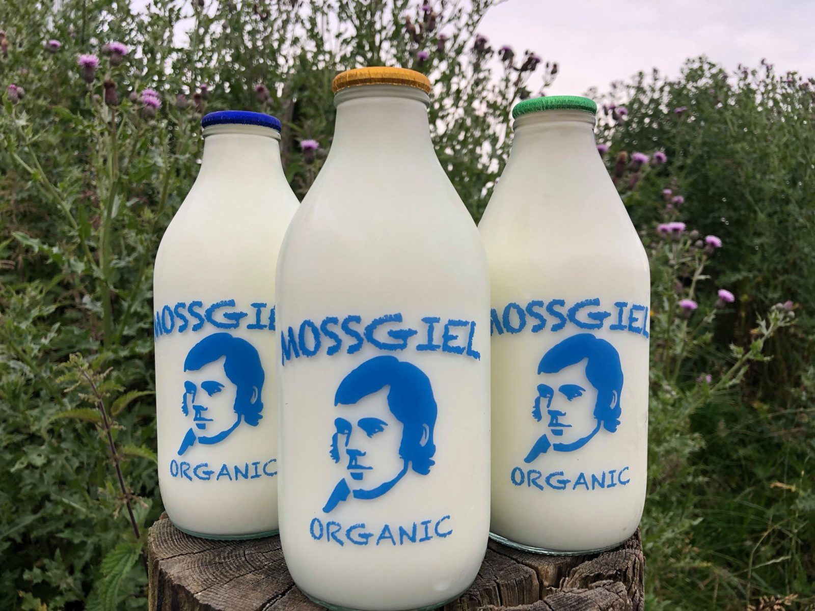 Mossgiel dairy glass bottles