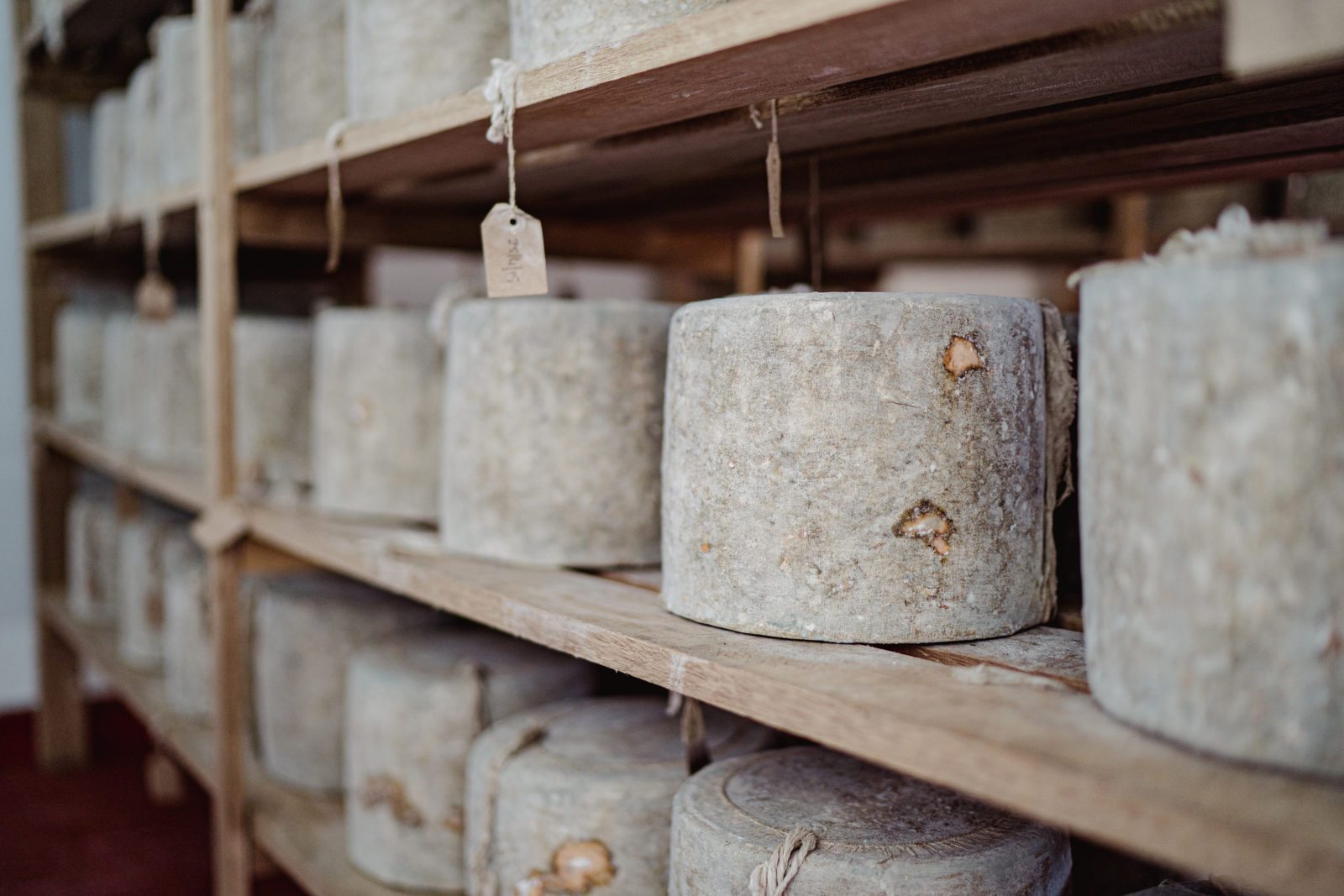 The cheese maturing room. 