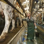 Scotland's larder: Bryce Cunningham from Mossgiel dairy farm