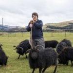 Scotland's larder: Jack Cuthbert, Ardoch Hebridean sheep farmer from Fossoway