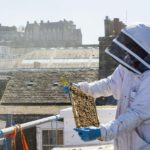 Edinburgh city centre hotel rooftop now home to 20,000 bees thanks to new partnership with Scottish honey company