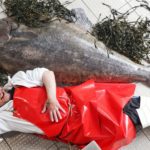 Edinburgh fishmonger lands whopping 77kg Halibut