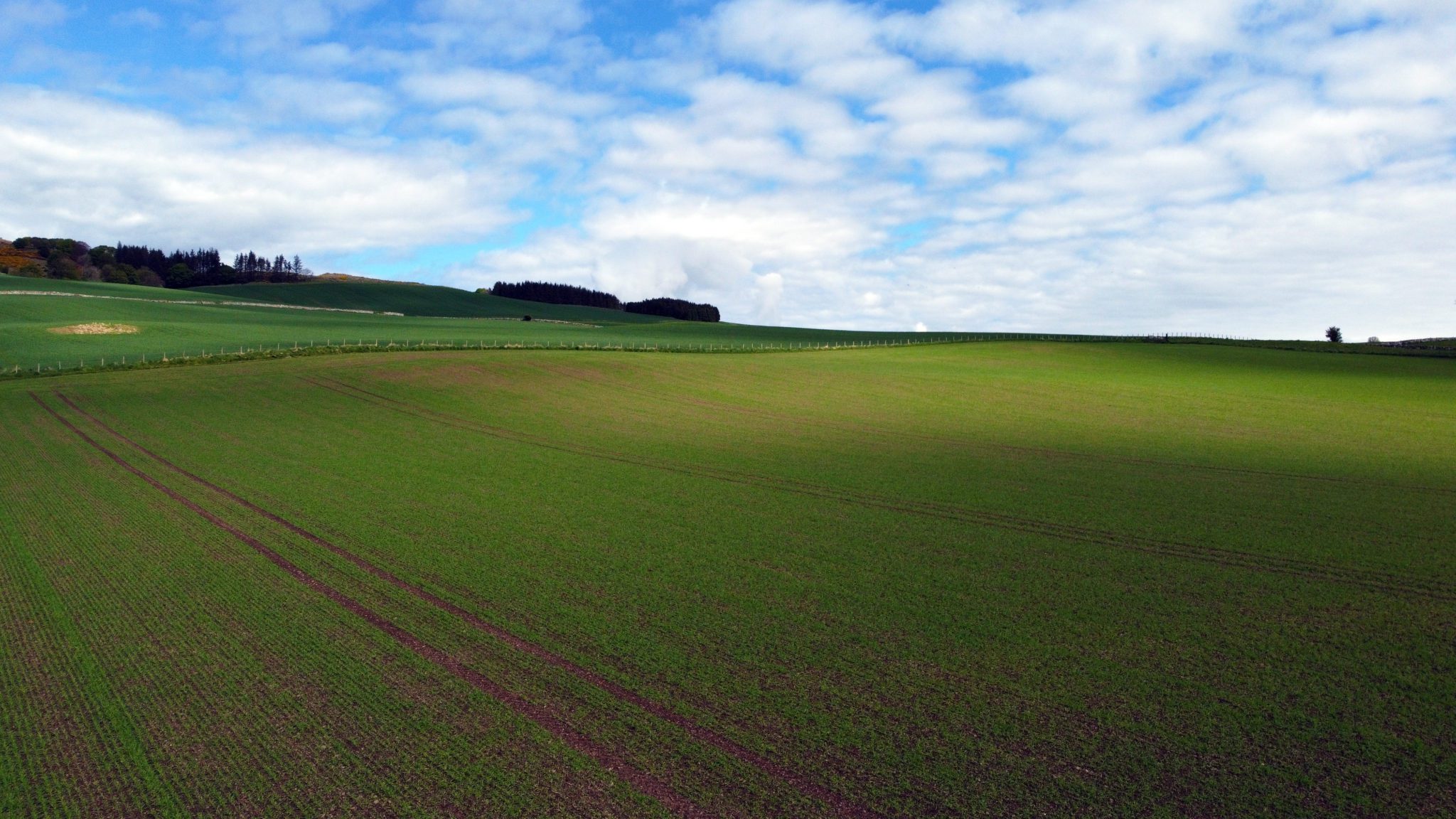 Scotland's larder: Alison Milne of Crafty Maltsters