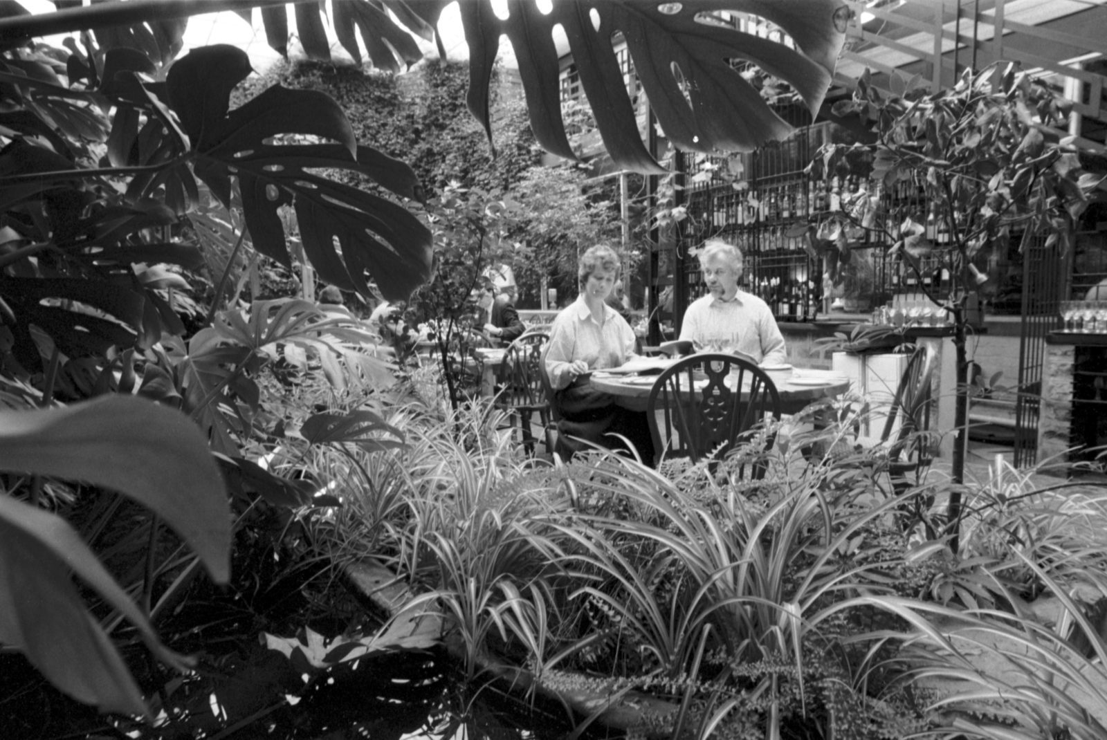 50 years of the Ubiquitous Chip one of Glasgow’s favourite