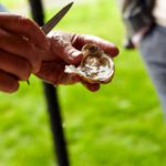 Top hotel, Monachyle Mhor, launches new Champagne & Oyster Extravaganza event, with some foraging thrown in